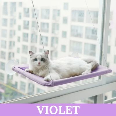 hamac pour chat violet